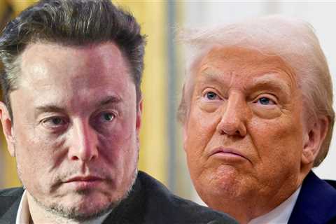 Elon Musk Says Donald Trump Would've Lost Election Without Him