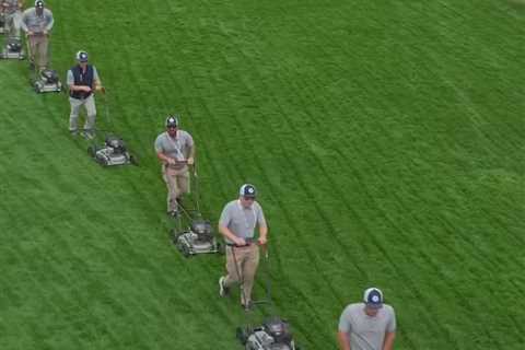 Lawnmowers at ‘unplayable’ US Open golf course go viral
