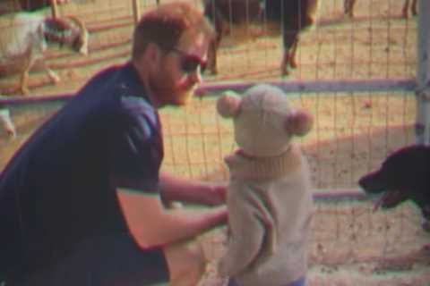 Meghan Just Dropped the Most Adorable Father's Day Video and I'm Not Crying, You Are