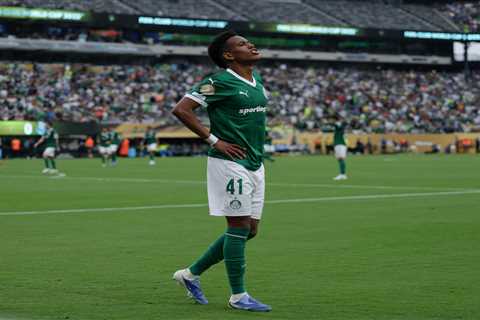 Teams sound off on MetLife Stadium grass for FIFA Club World Cup