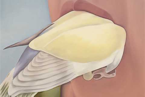 “H-Dropping” by Artist Lyn Liu