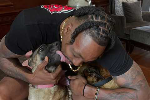 Dwight Howard's Dog Killed After Alleged Hit-and-Run, Asks Fans For Help