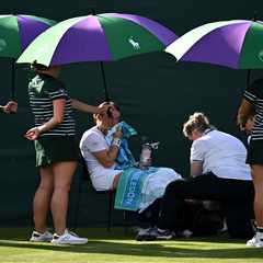 Ella Seidel forced to retire from Wimbledon after stepping in ‘ditch’ — and fans want her to sue