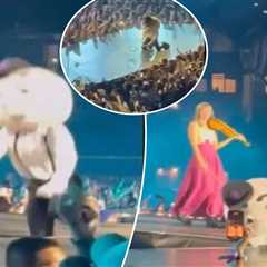 Mr. Met falls off stage during Lumineers concert at Citi Field in embarrassing viral video