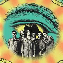 King Gizzard & The Lizard Wizard Are Changing What a Rock Band Can Be: ‘We Can Just Do What We Do..