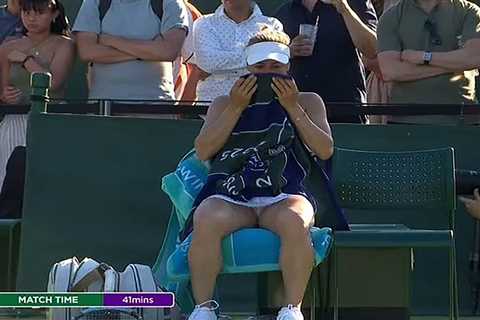 Yulia Putintseva fears for safety at Wimbledon over ‘crazy’ and ‘dangerous’ fan: ‘Maybe he has a..