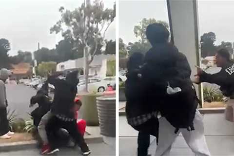 Pokémon Fans Brawl in Line Outside GameStop on Video, 1 Stabbed, 2 Arrested