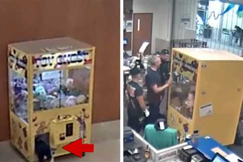 Ohio Boy Gets Swallowed Up by Stuffed Animal Claw Machine, Video Shows