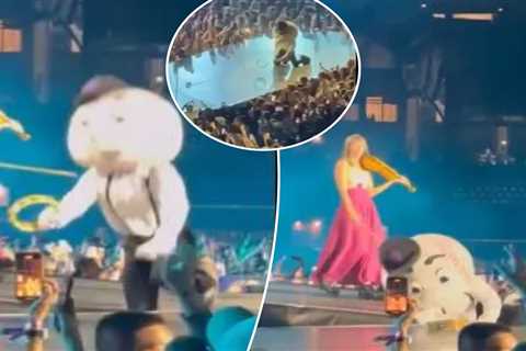 Mr. Met falls off stage during Lumineers concert at Citi Field in embarrassing viral video