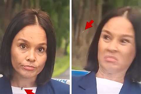 TV News Reporter Attacked by Wasp During Live Report, Caught on Video