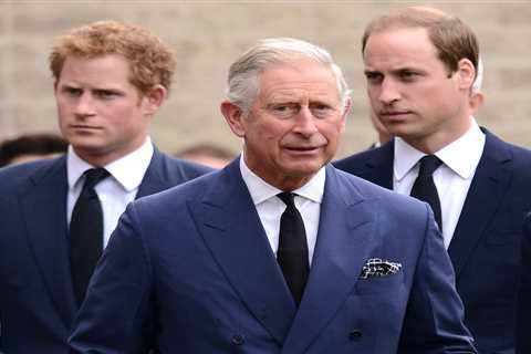 Prince Harry Faces Uphill Battle to Mend Royal Rift Amid Public Scrutiny