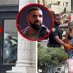 Woman Seen Smashing Up Drake's OVO Store in New York City, on Video