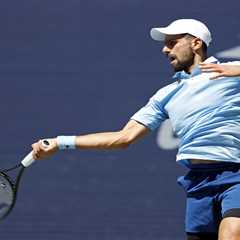 Novak Djokovic’s desire still burns as he chases more US Open glory
