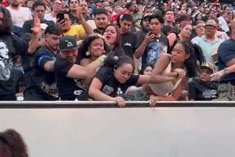 Brawl breaks out between fans during WWE SummerSlam in NJ