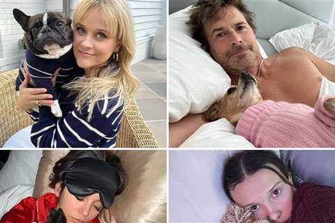 Celebs Cuddling Dogs for International Dog Day ... Ruff Life!