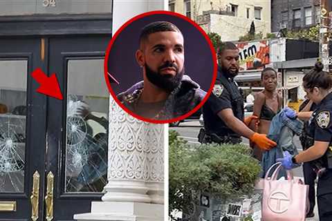 Woman Seen Smashing Up Drake's OVO Store in New York City, on Video