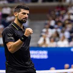 Novak Djokovic fends off Taylor Fritz to end American men’s hopes at US Open