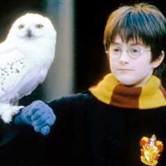 People Are Divided Over Who's The Best Harry Potter Character Of All Time