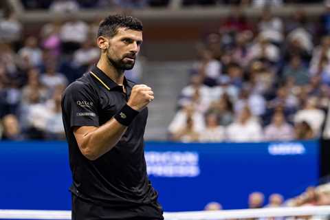 Novak Djokovic fends off Taylor Fritz to end American men’s hopes at US Open