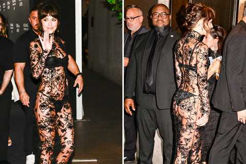 Dakota Johnson Shows Off Underwear in See-Through Dress at New York Fashion Week