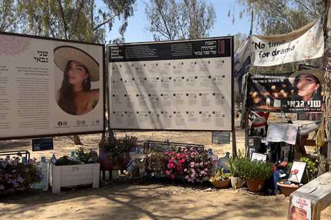 Nova Festival Exhibition Comes to Berlin, With Support From the Music Business