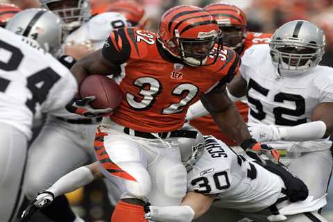 Former Bengals running back Rudi Johnson dead at 45 in suicide