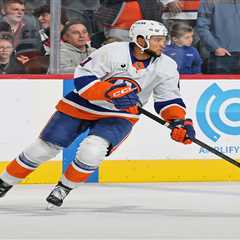 Islanders rookie’s ‘dream’ NHL debut missed just one thing