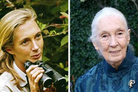 Jane Goodall, The World’s Most Famous Primatologist, Has Died At 91