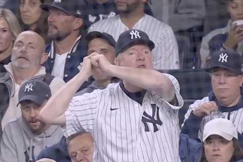 One Yankees fan becomes the face of frustration with Anthony Volpe