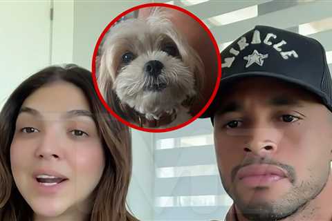 HGTV Couple Demand Accountability From Pro Pet-Sitter and Rover.com