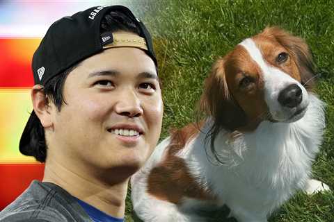 Shohei Ohtani Rocks Decoy Letterman Jacket Ahead of World Series Game 1