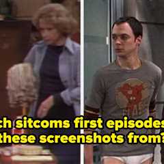 I'll Be Really, Really, REALLY Impressed If You Can Get 17/17 On This TV Sitcom First Episode..