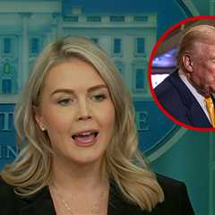 Karoline Leavitt Says President Trump Was Just Being Honest Calling Reporter Piggy