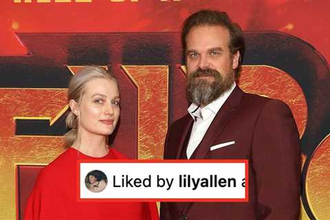 David Harbour's Ex, Alison Sudol, Described Him As A Bully