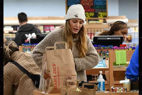 Blake Lively Shops at Trader Joe's Amid Expensive Legal War With Justin Baldoni, See Pics