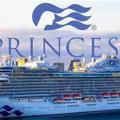 Princess Cruise Lines Sued By Woman Who Says Chair Collapsed While She Was Sitting In It