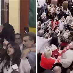 Mexico City Congress Session Descends Into Brawl, Watch Wild Video