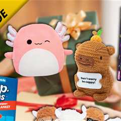 Holiday Gift Guide: Quirky Last Minute Presents Under $30