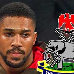 Driver in Anthony Joshua Crash Released From Hospital, Could Face Charges