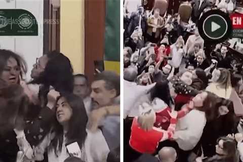 Mexico City Congress Session Descends Into Brawl, Watch Wild Video