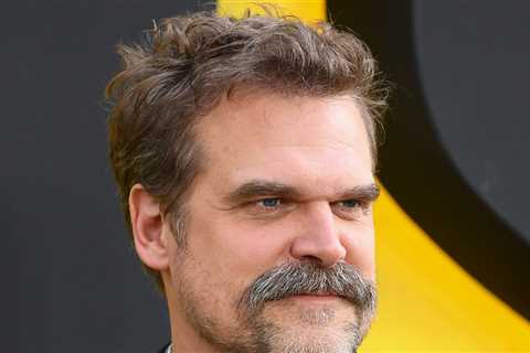 David Harbour Takes a Guy's Hat in Bizarre Bar Incident