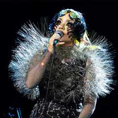 Björk Sends Supportive Message to Greenlanders Amid Latest Trump Threat of Annexation: ‘I Burst..
