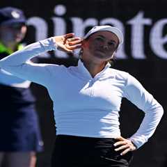 Yulia Putintseva taunts raucous Australian Open crowd in feisty post-match scene