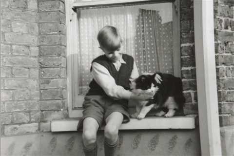 David Bowie’s Childhood Home to Open to the Public