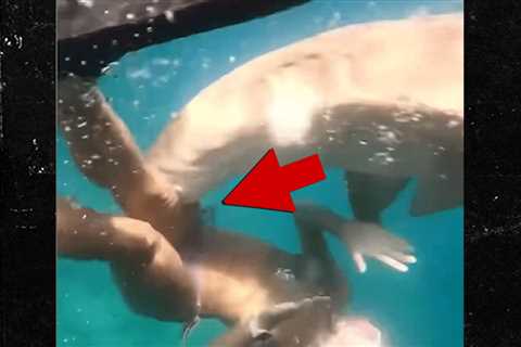 Sexy Snorkeler Attacked by Shark on Video, Suffers Mangled Leg