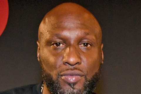 Lamar Odom Rehab Center Ownership Ended Long Before DUI Arrest