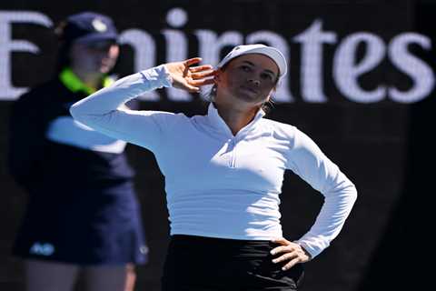 Yulia Putintseva taunts raucous Australian Open crowd in feisty post-match scene