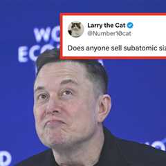 Elon Musk Is Having A Little Pity Party On X, And People Are DRAGGING Him For It