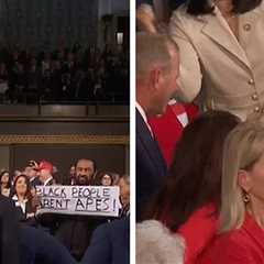 Rep. Al Green Holds 'Black People Aren't Apes' Sign at State of the Union Address