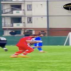 Soccer player uses CPR to revive seagull struck by ball during playoff match in Turkey